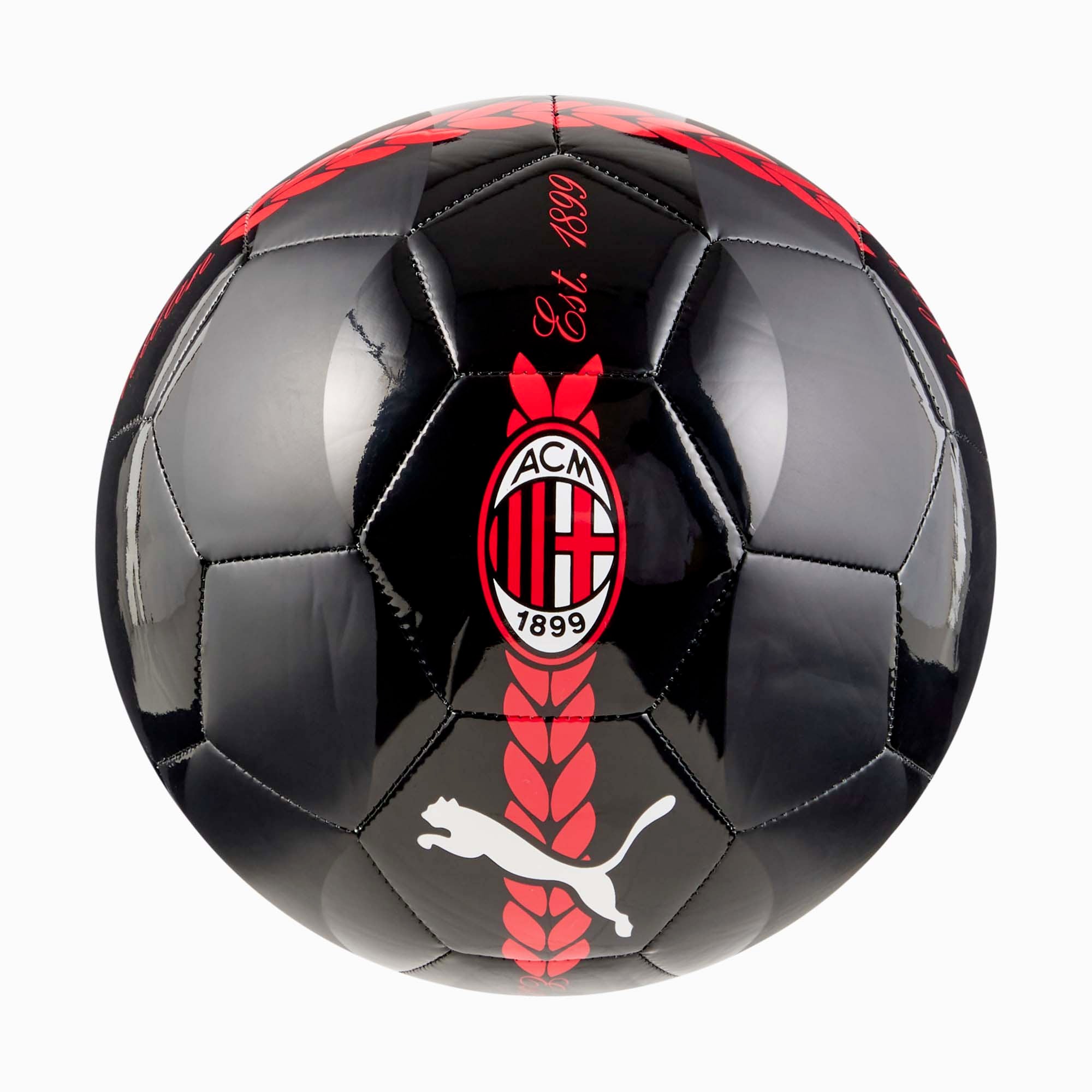 ACM_PREMATCH_BALL_084544_07_Image_1