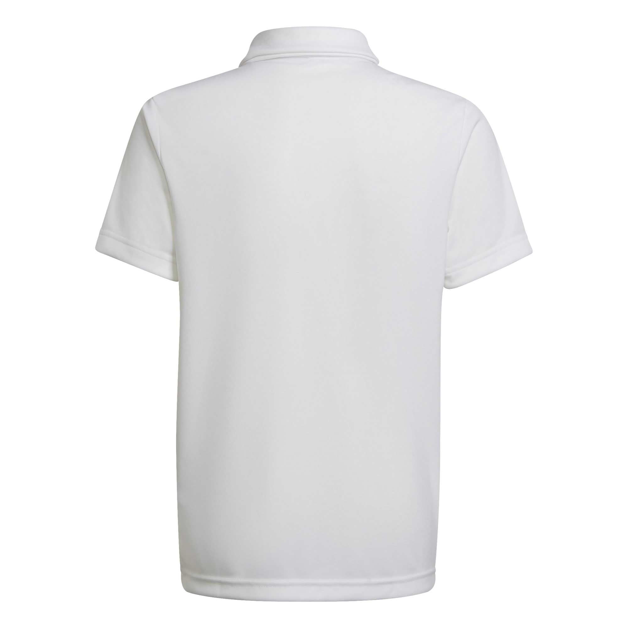 ENT22_POLO_Y_HC5059_WHI_Image_2